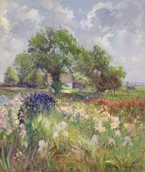 White Barn and Iris Field